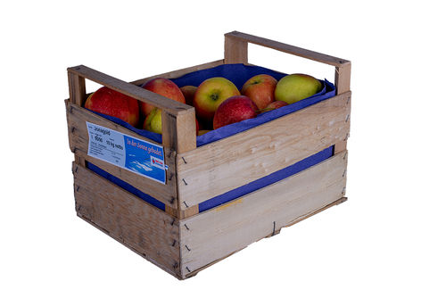 Jonagold Äpfel süß, 10 kg Kiste vom Bodensee
