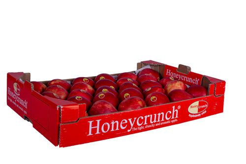 Honeycrunch Äpfel fein-säuerlich im 7 kg Karton