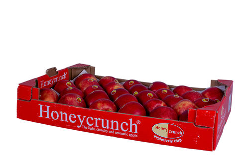 Honeycunch Äpfel 5 kg Karton