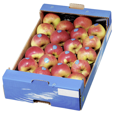 Elstar Äpfel fein-säuerlich vom Bodensee in der 5 kg Box