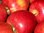 Breaburn Äpfel vom Bodensee süß in der 5 kg Box