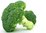 Broccoli frisch aus Spanien oder Italien im 1 kg Packung