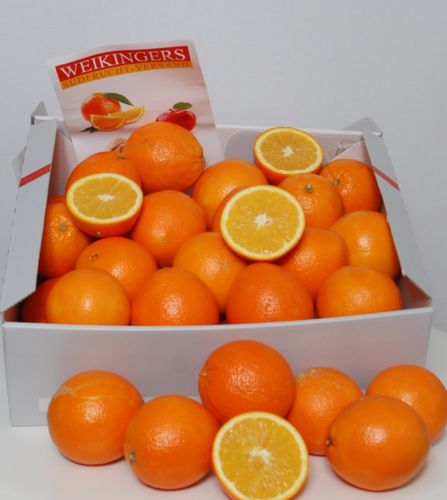 Saftorangen süß + saftig Box mit 30 Orangen