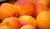 Aprikosen frisch aus Spanien oder Frankreich im 2 kg Karton