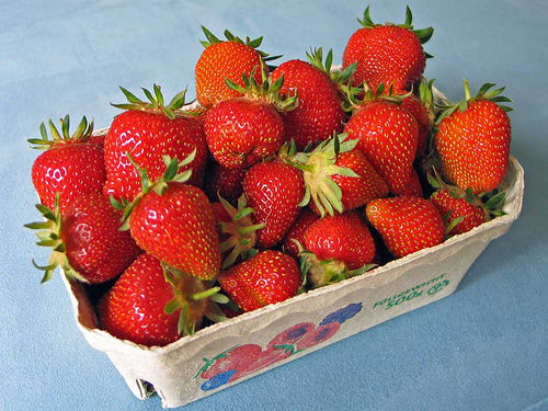 Erdbeeren frisch süß aus Deutschland 1 kg Schale