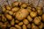 Bio Kartoffeln 6 kg Beutel Neue Ernte 2023