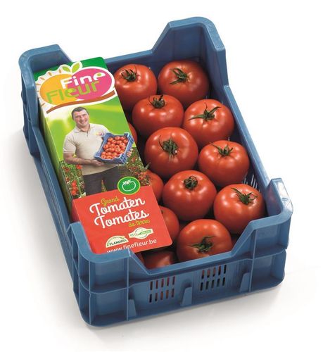 Tomaten rund im 6 kg Karton