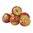 Cox-Orange-Äpfel süß- säuerlich 6 Stück aus Neuseeland oder Deutschland