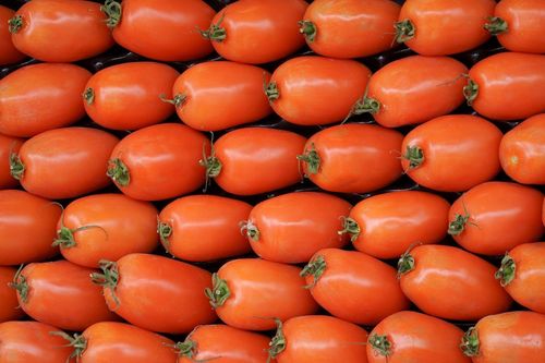 Marzano Tomaten frisch 1 kg Schale aus Italien