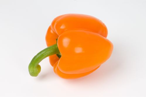 Paprika Orange frisch Klasse 1 in der 5 kg Kiste aus Spanien oder Niederlande